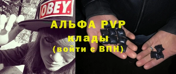 гашик Алзамай