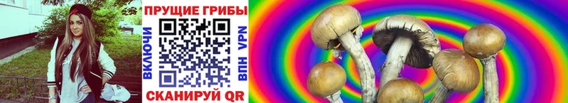 Галлюциногенные грибы мицелий  Можга 